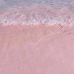 富婆性婬乱A片AAAA片
